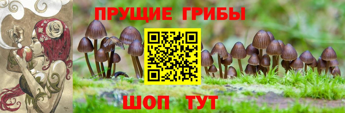 Псилоцибиновые грибы ЛСД Салехард